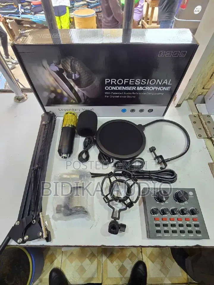 V8 Condenser Microphone With Live Recording for Studio