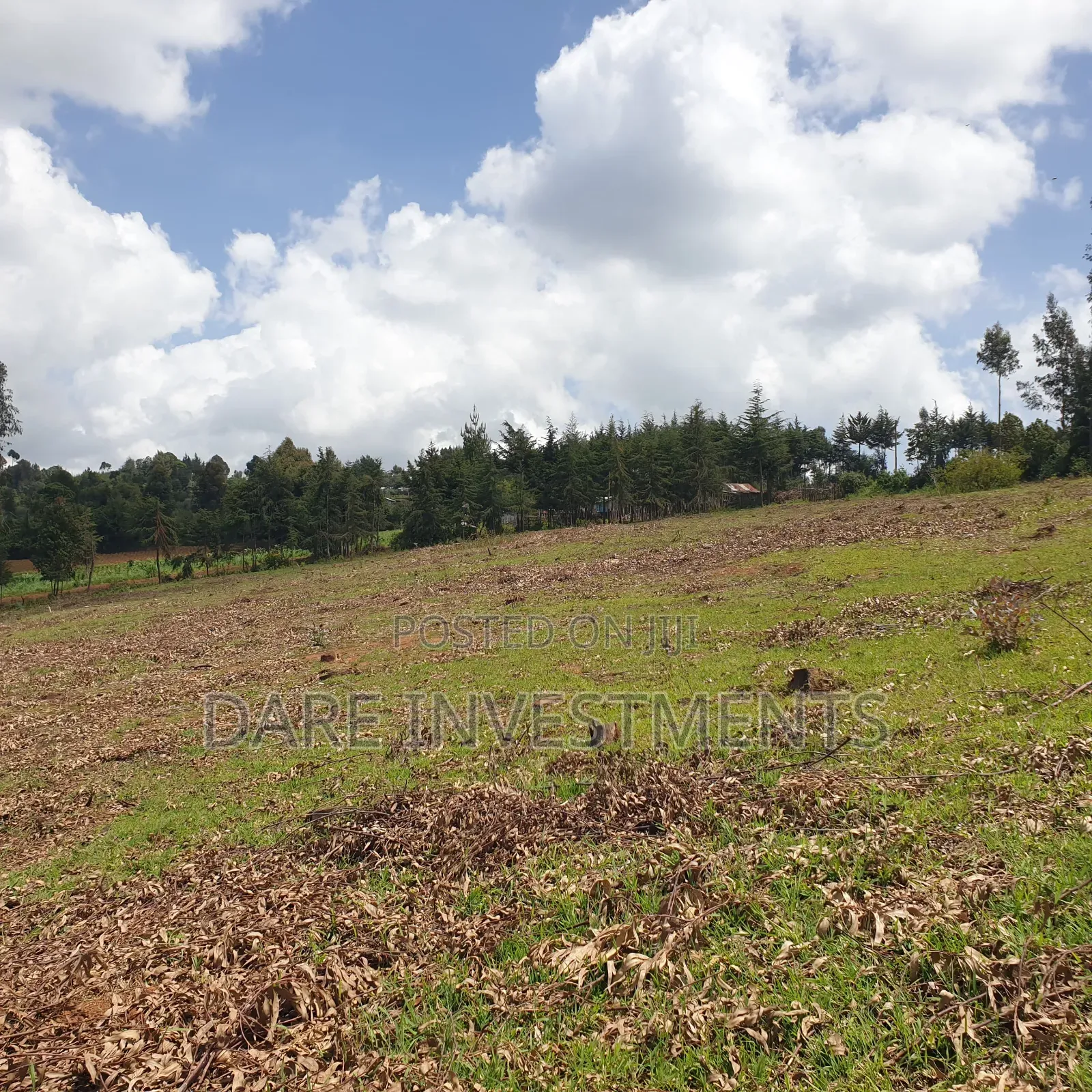 2.5 Acres of Land for Sale.