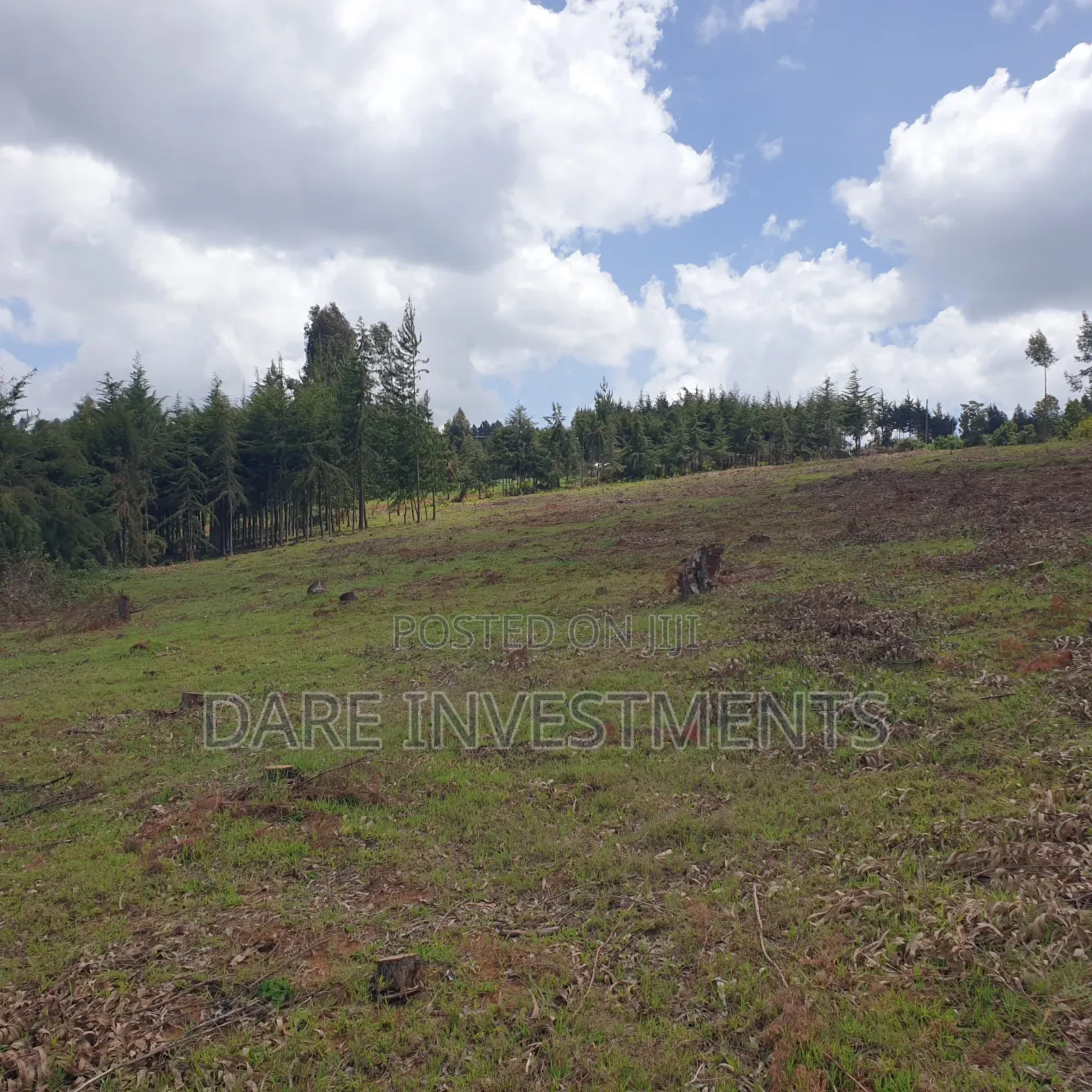 2.5 Acres of Land for Sale.