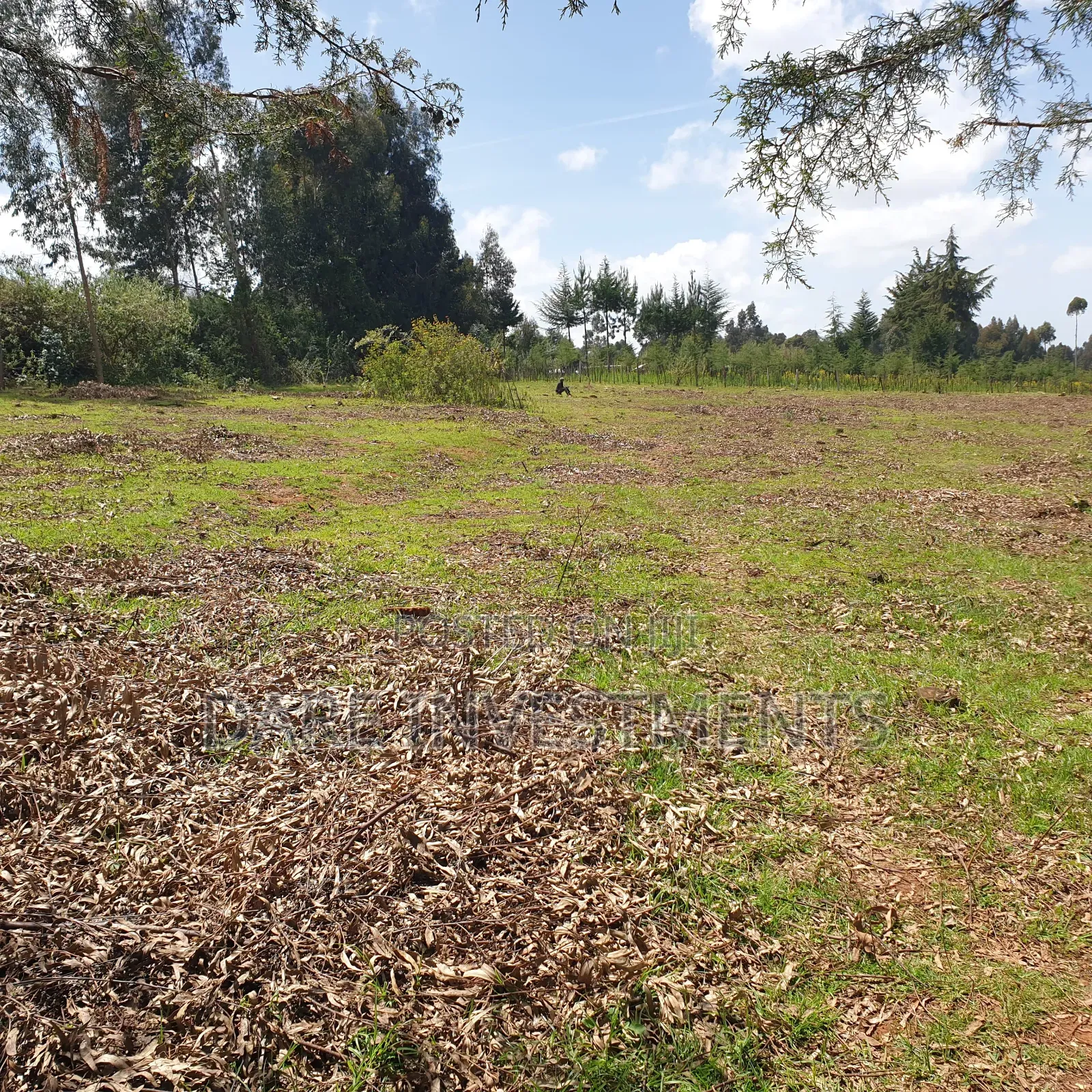 2.5 Acres of Land for Sale.