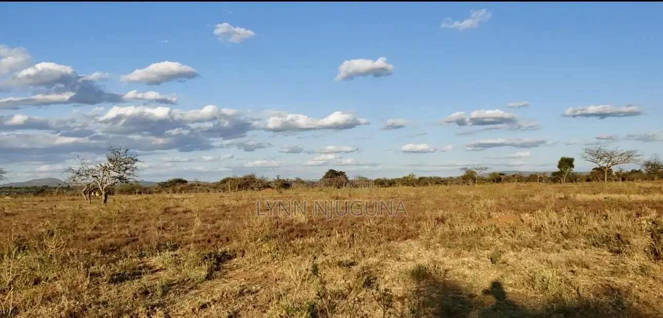 1/8 Acre Plot For Sale – Kangonde, Matuu – Ready Title Deed