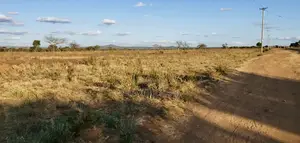 1/8 Acre Plot For Sale – Kangonde, Matuu – Ready Title Deed