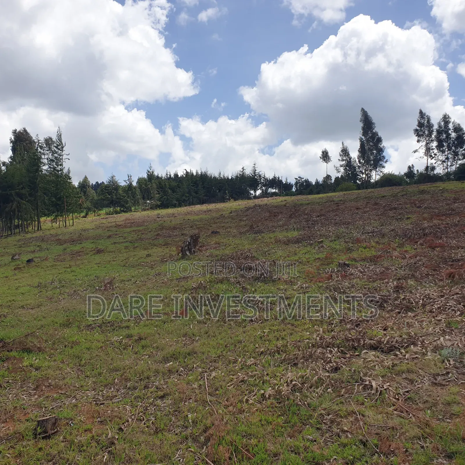 2.5 Acres for Sale Nyandarua