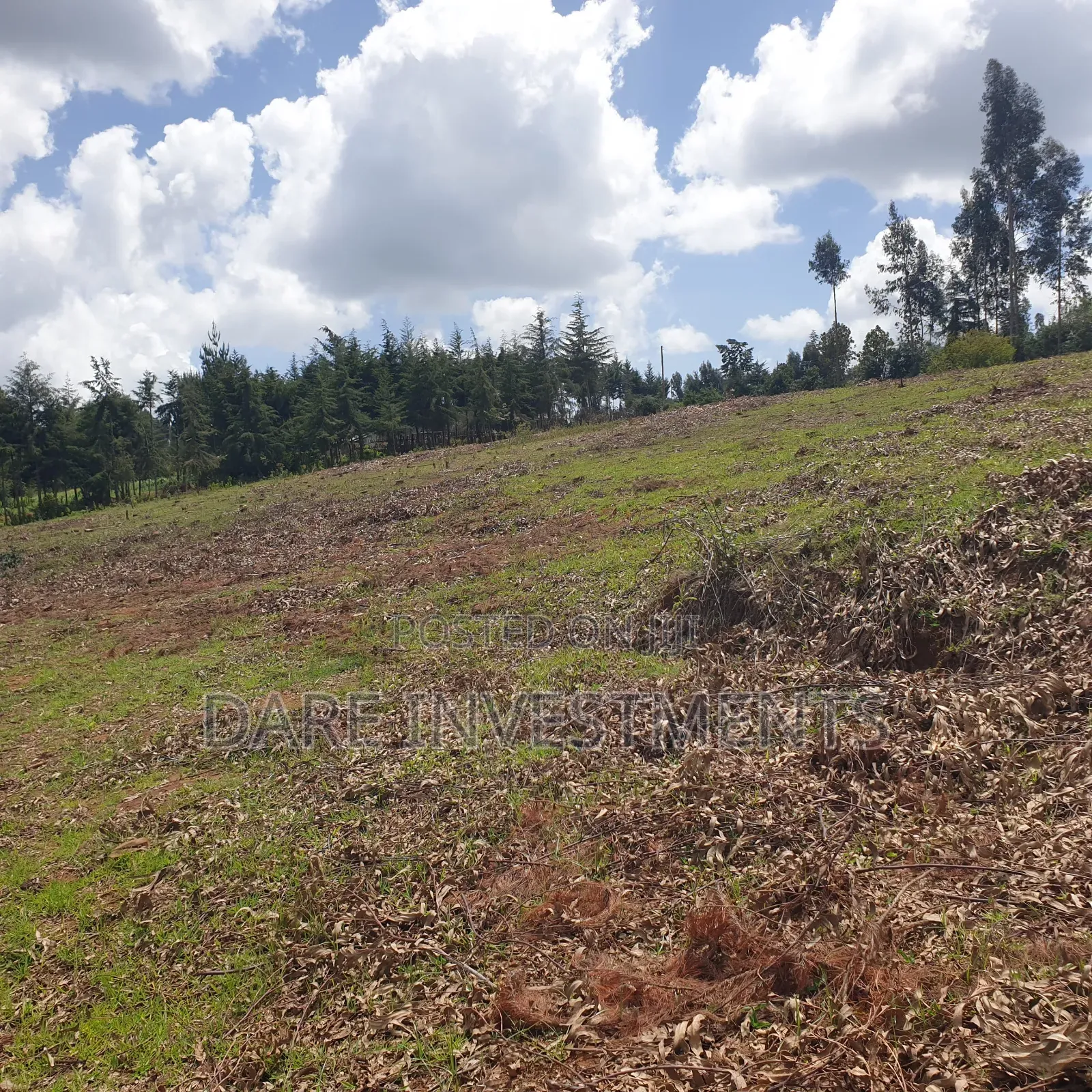 2.5 Acres for Sale Nyandarua