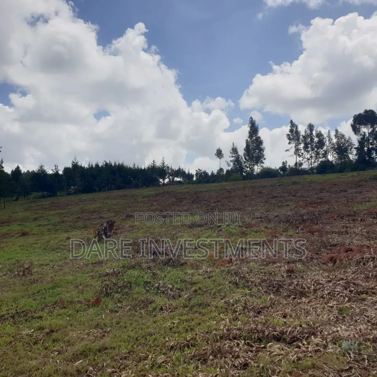 2.5 Acres for Sale Nyandarua
