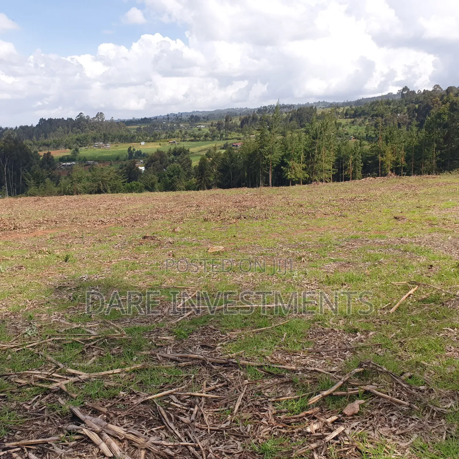 2.5 Acres for Sale Nyandarua