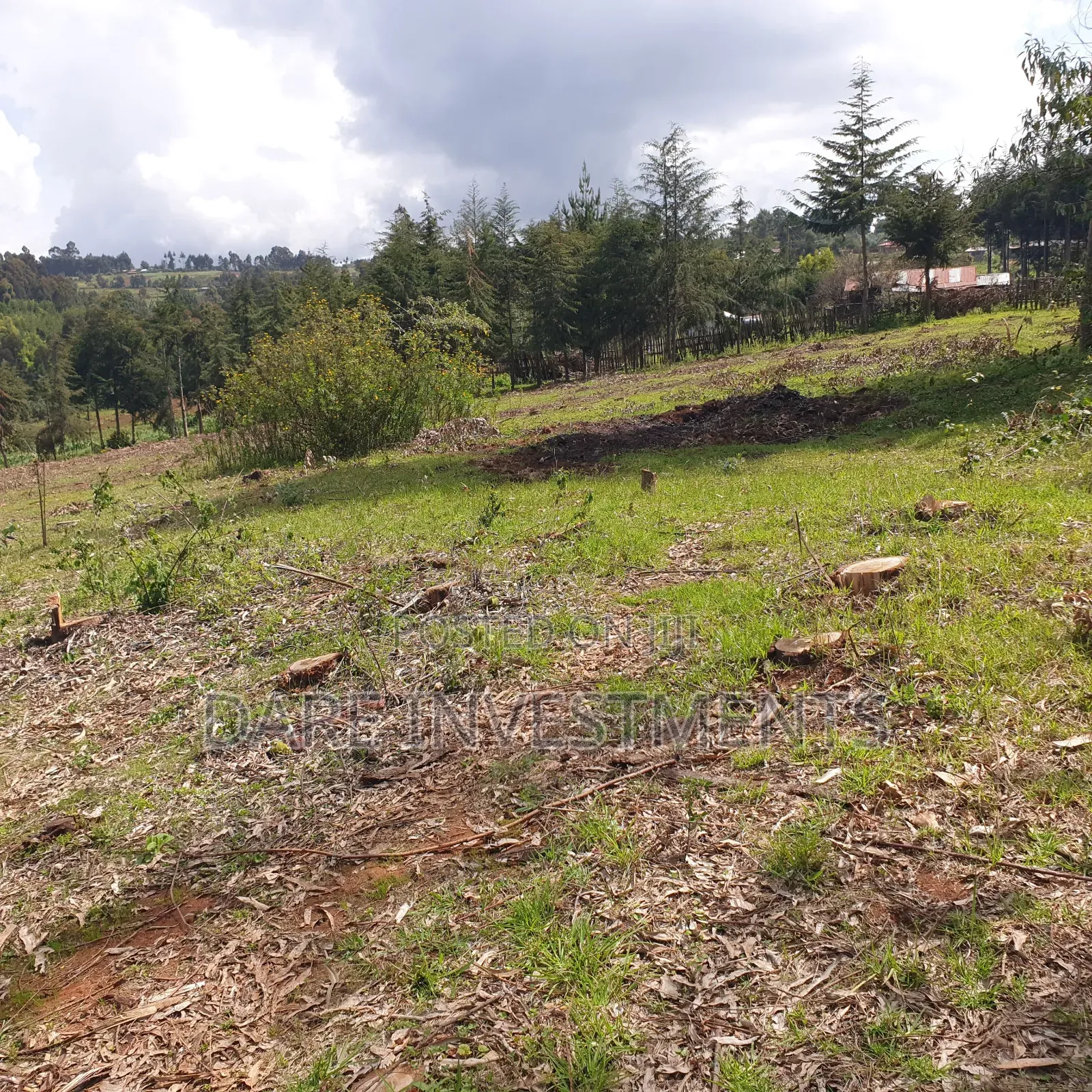 2.5 Acres for Sale Nyandarua