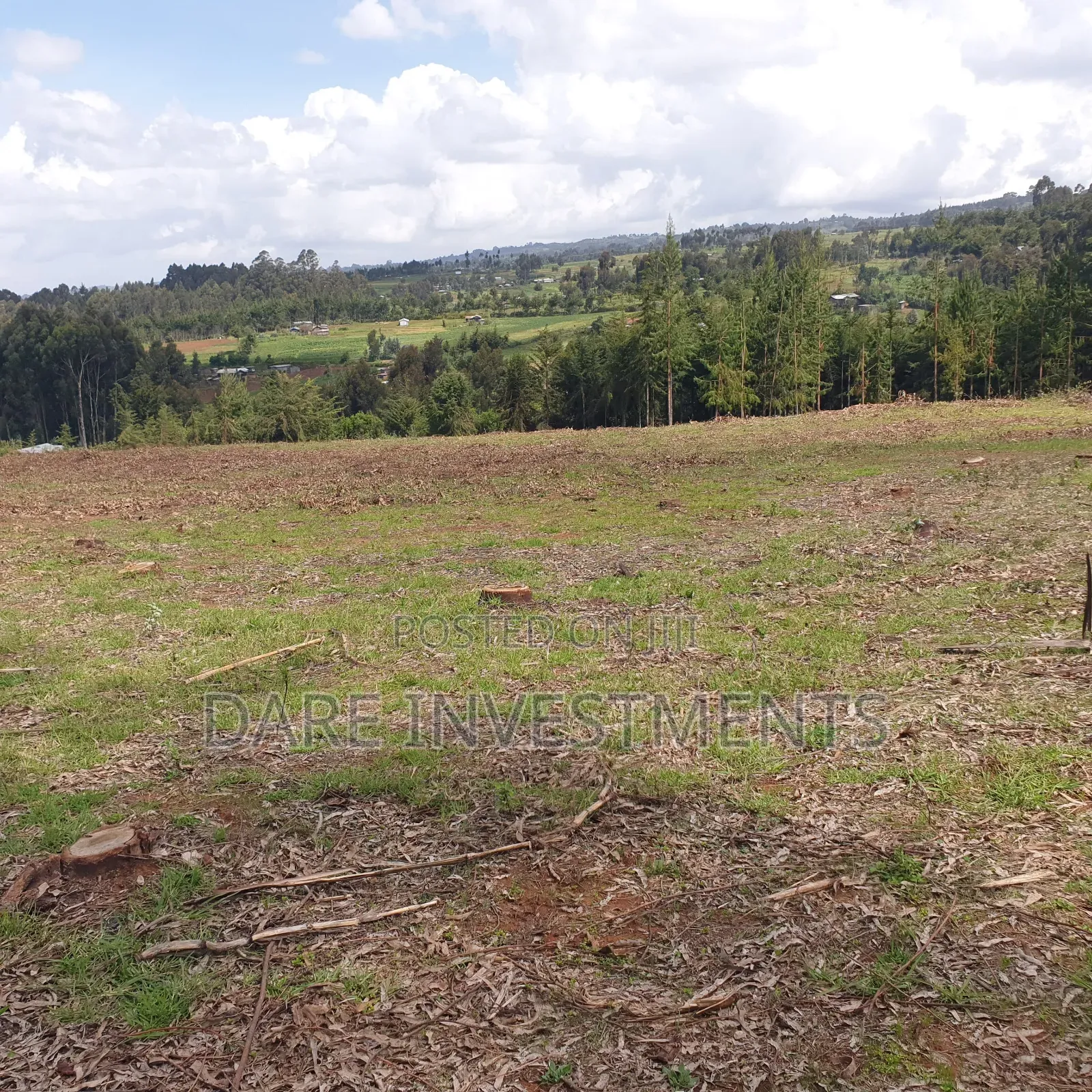 2.5 Acres for Sale Nyandarua