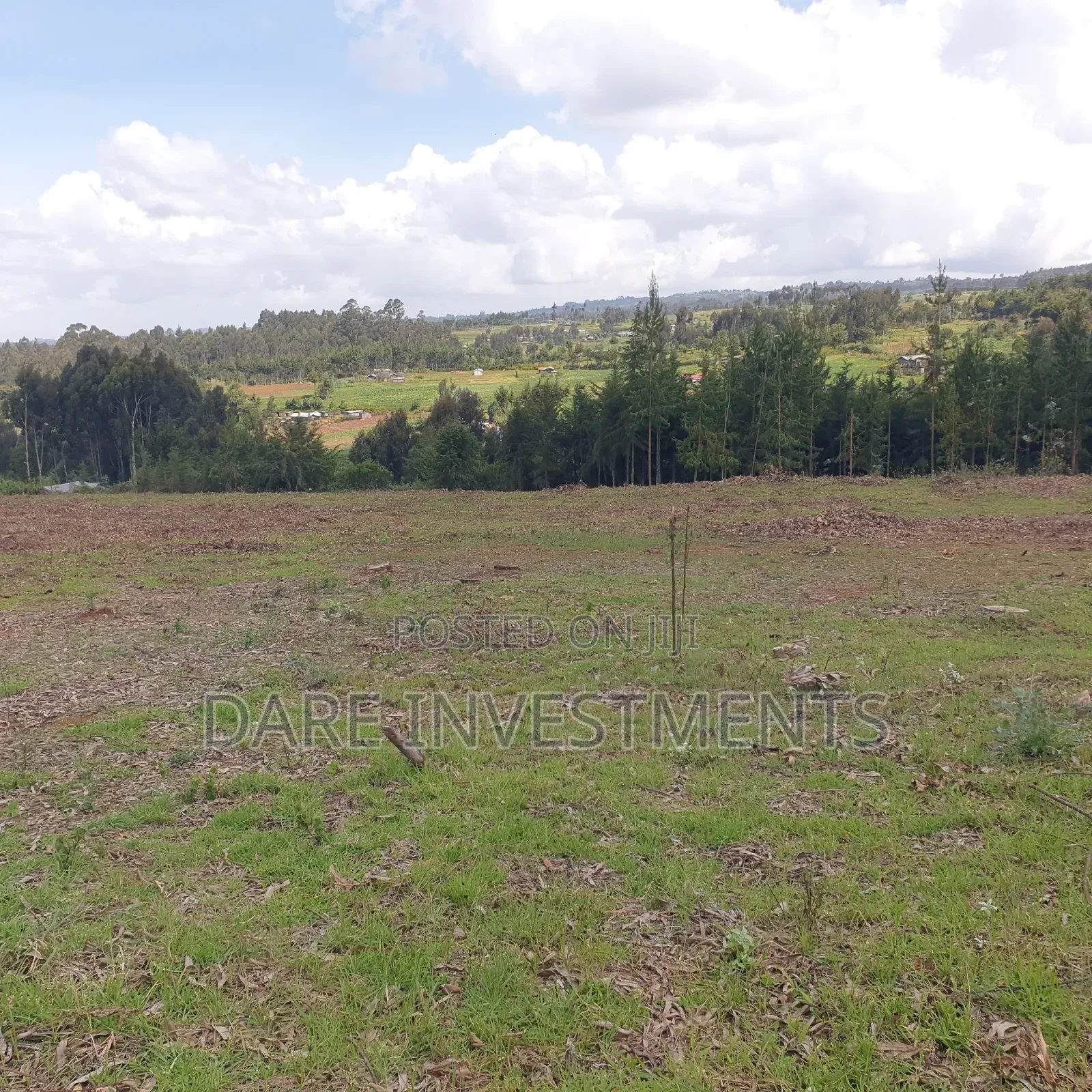 2.5 Acres for Sale Nyandarua