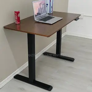 Dual Motor Electric Standing Desk