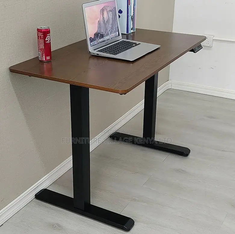 Dual Motor Electric Standing Desk