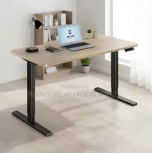 Dual Motor Electric Standing Desk
