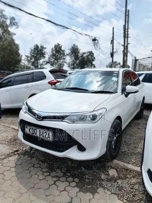 Toyota Axio 2017 Pearl