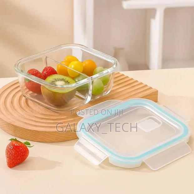 2 Grid High Borosilicate Glass Lunchbox