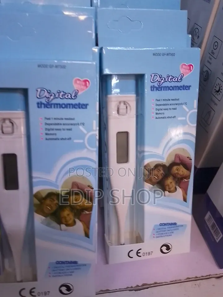 *Digital Thermometer *
