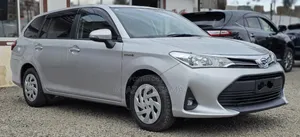 Toyota Corolla Fielder 2019 Silver