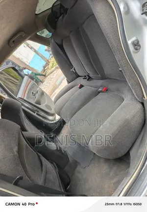 Nissan Sylphy 2007 Silver
