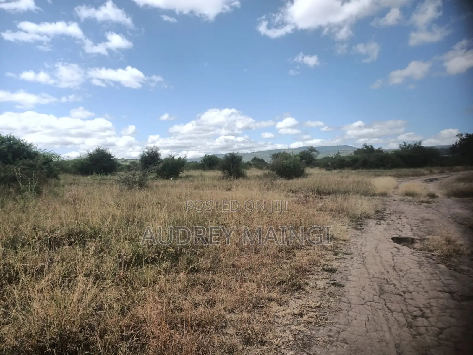 Lukenya Ranch