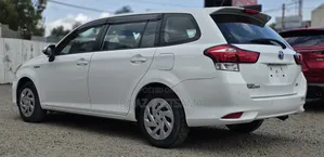 Toyota Corolla Fielder 2019 White