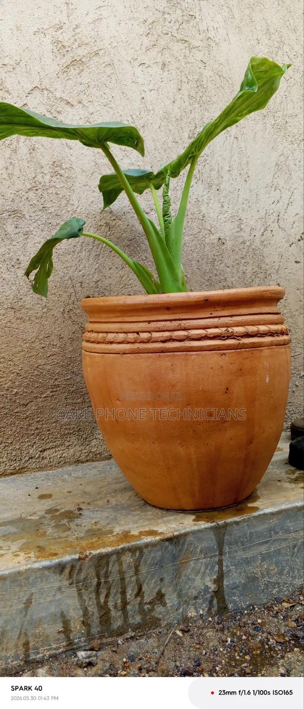 Flower Vases - thumbnail 2