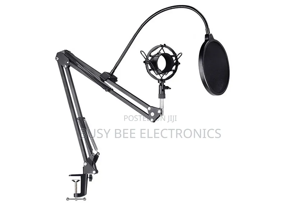 Microphone Pop Filter With Flexible Gooseneck