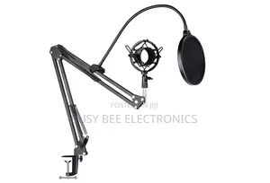 Microphone Pop Filter With Flexible Gooseneck
