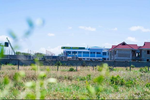 Nanyuki Airstrip Plots