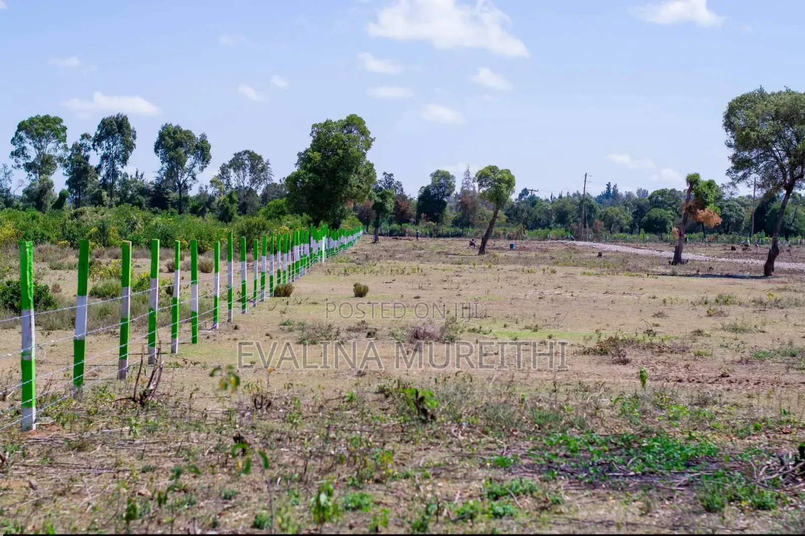 Nanyuki Airstrip Plots