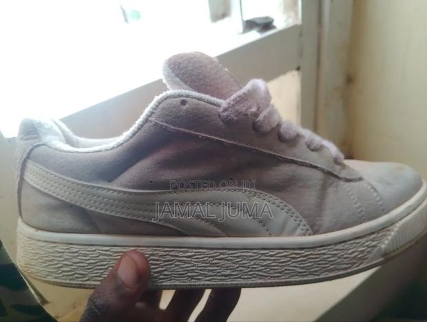 Puma Suede
