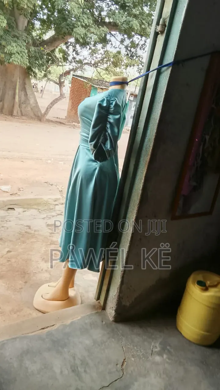 Ladies Dresses