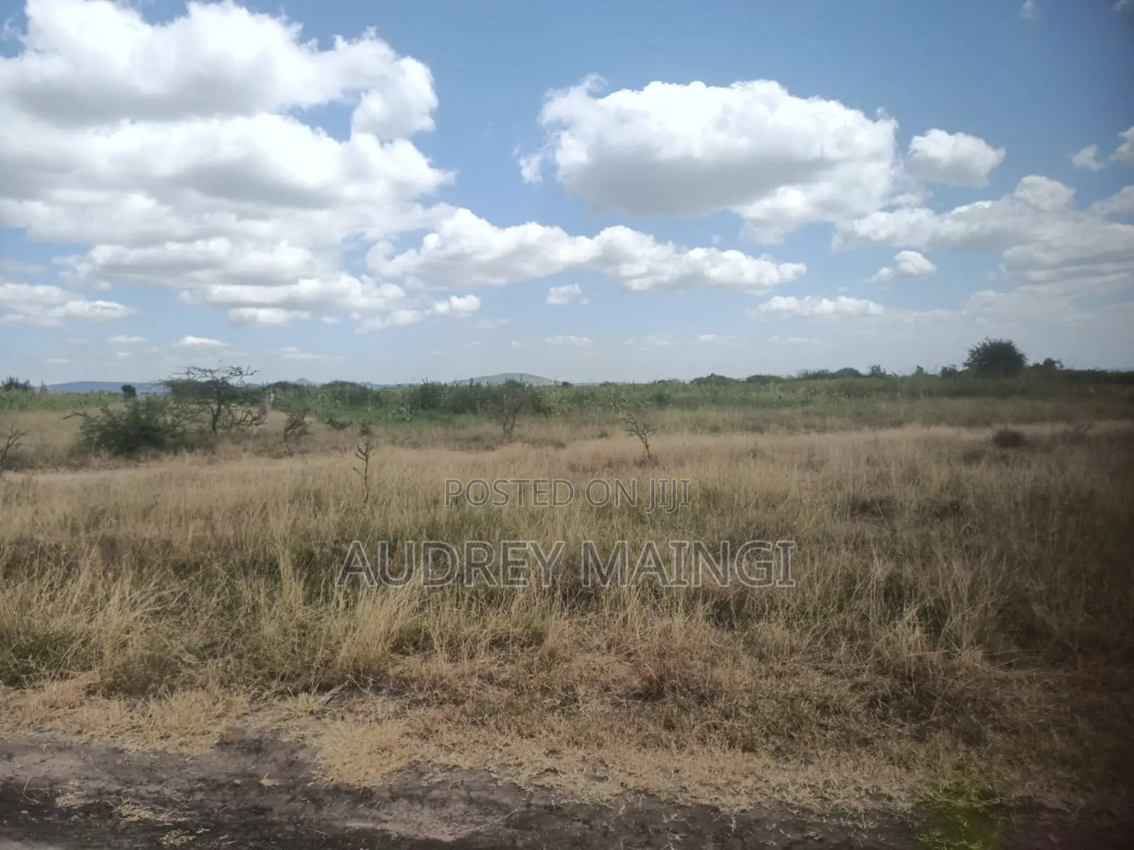 Lukenya Ranch