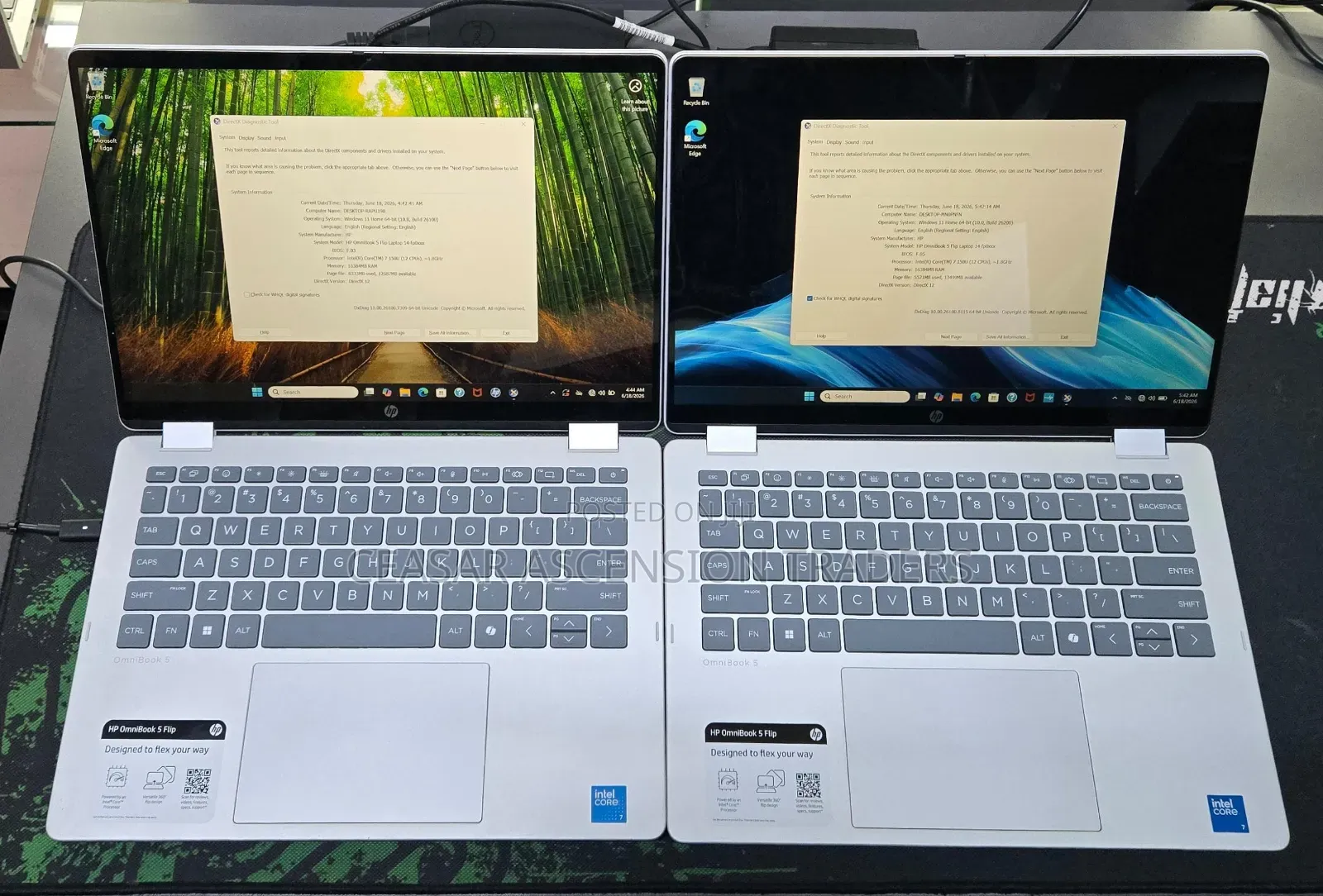 Laptop HP OmniBook 5 Flip 16GB Intel Core 7 SSD 512GB