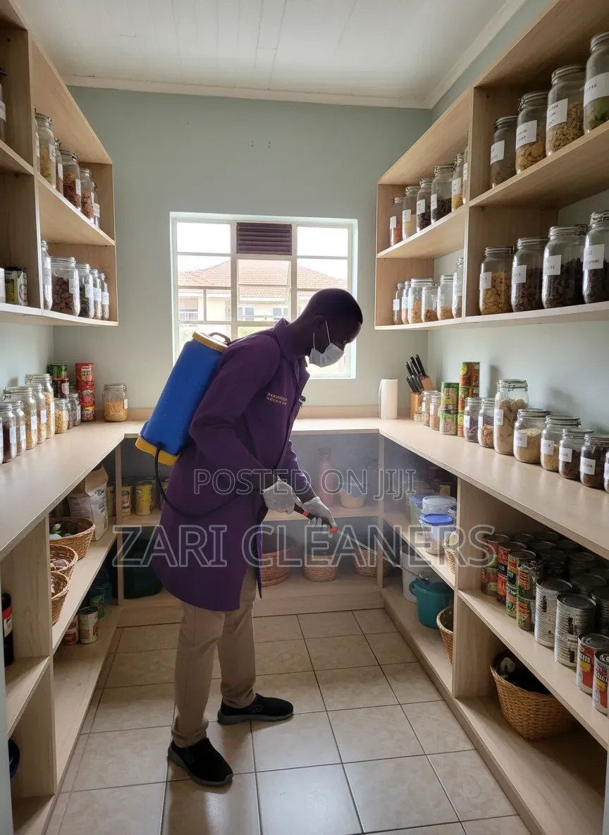 Our Services Are Designed to Eliminate Pests Effectively and Safely
