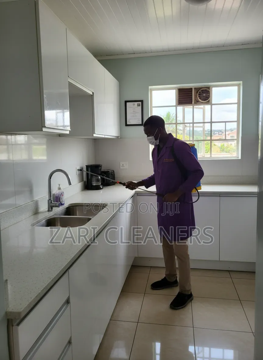 Our Services Are Designed to Eliminate Pests Effectively and Safely
