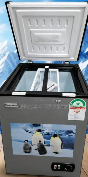 Premier 100 Litres Chest Freezer for Home Business