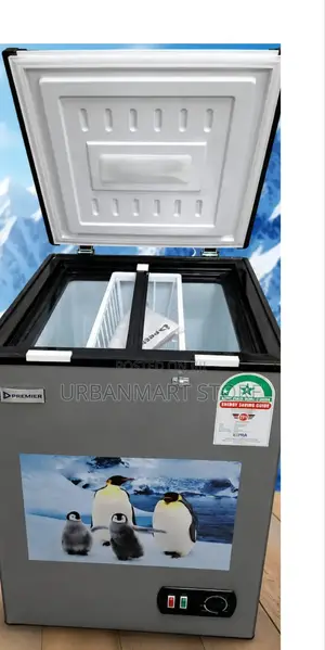 Premier Quality 100 Litres Chest Deep Freezer – Fast Cooling