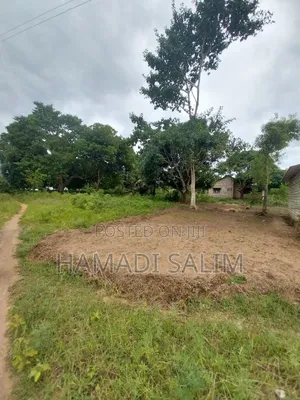 50 by 100 Plot for Sale in Tiwi