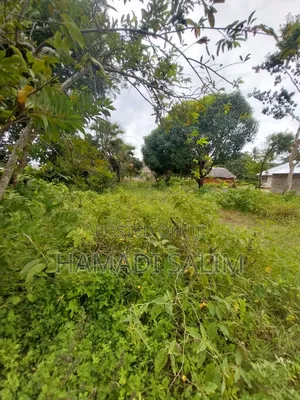 50 by 100 Plot for Sale in Tiwi