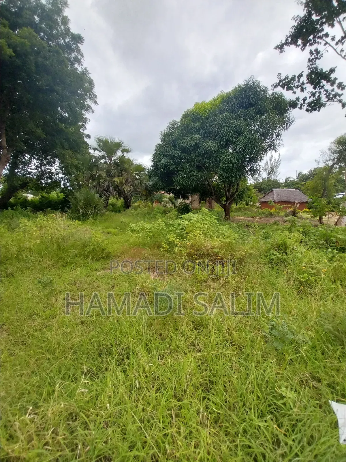 50 by 100 Plot for Sale in Tiwi