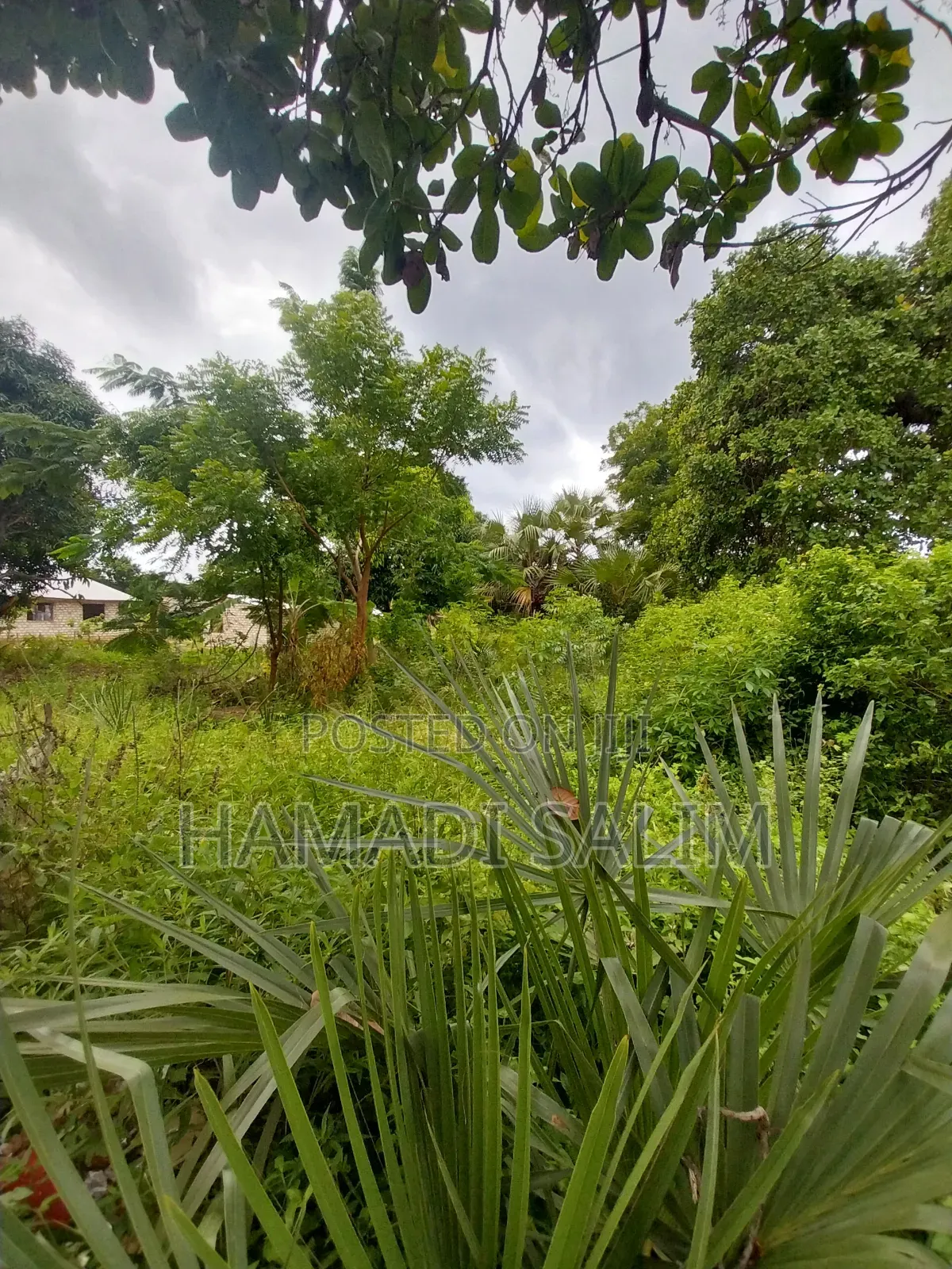 50 by 100 Plot for Sale in Tiwi