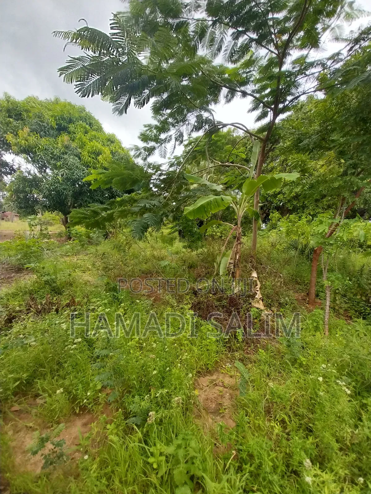 50 by 100 Plot for Sale in Tiwi