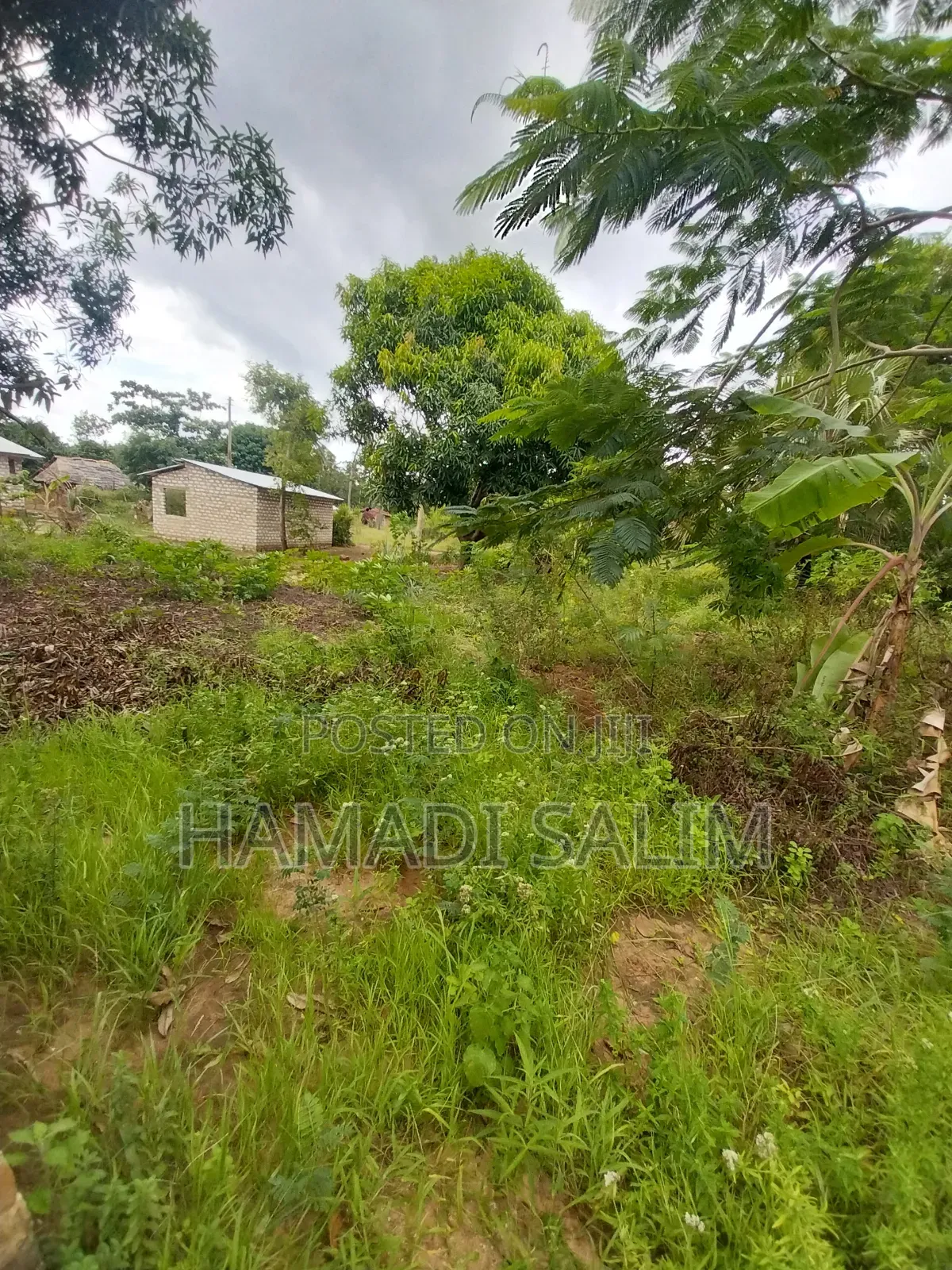 50 by 100 Plot for Sale in Tiwi