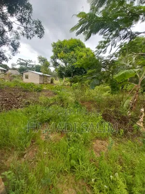 50 by 100 Plot for Sale in Tiwi
