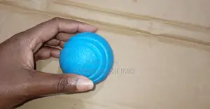 Dog Training Fetch Ball