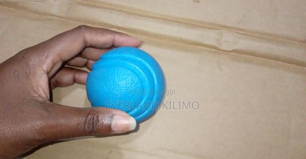 Dog Training Fetch Ball