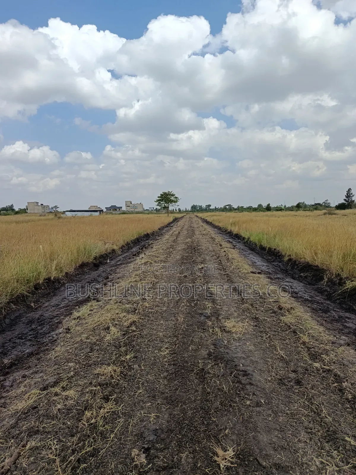 Prime Plots for Sale in Juja Farm