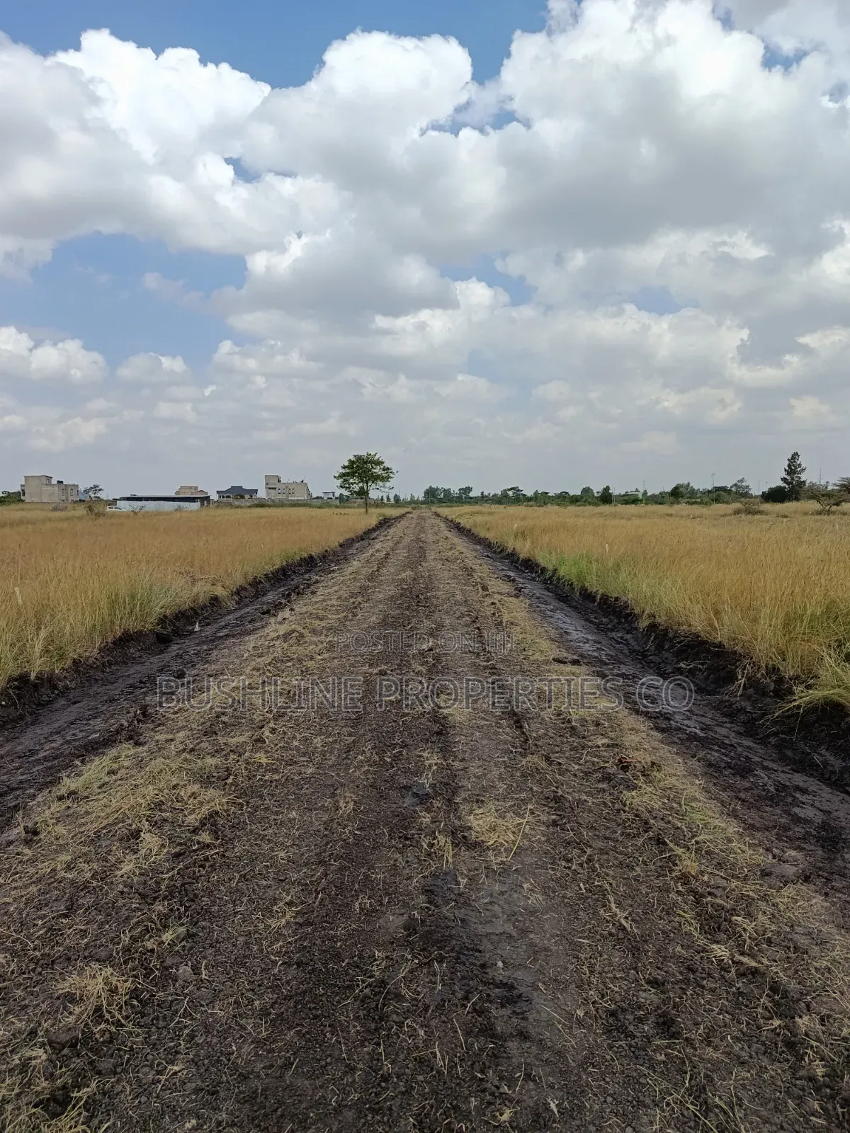 Prime Plots for Sale in Juja Farm