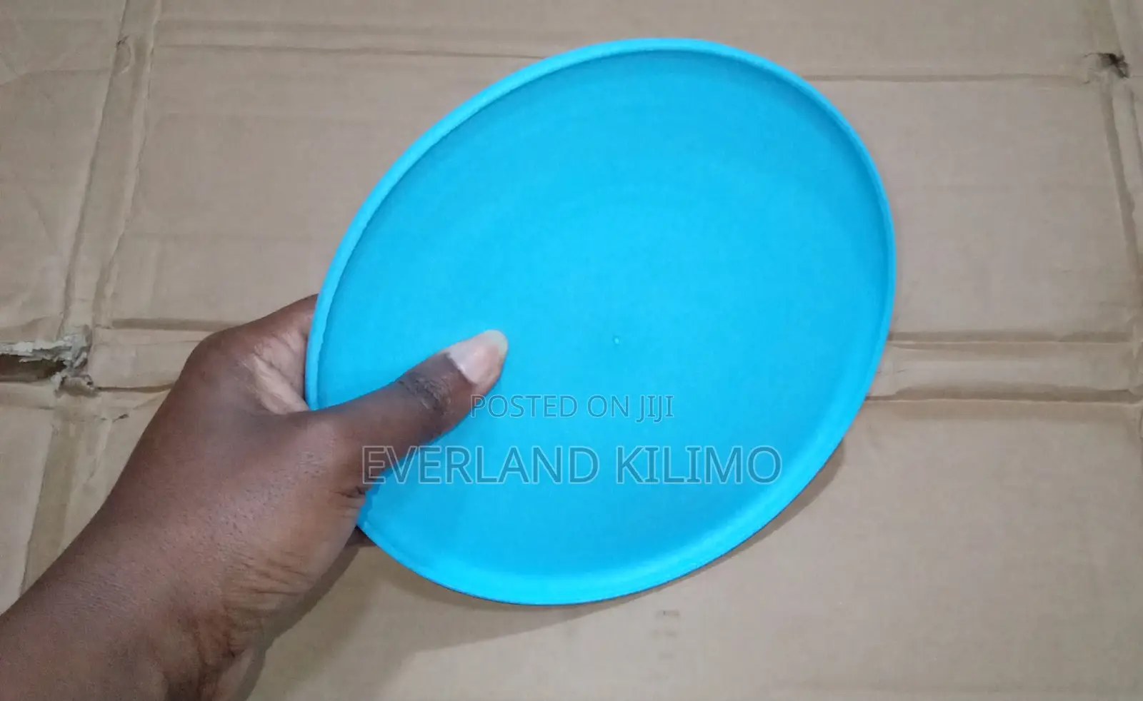 Pets Frisbee