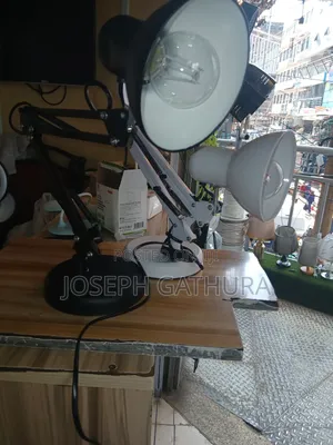Adjustable Reading/Desk Lamp