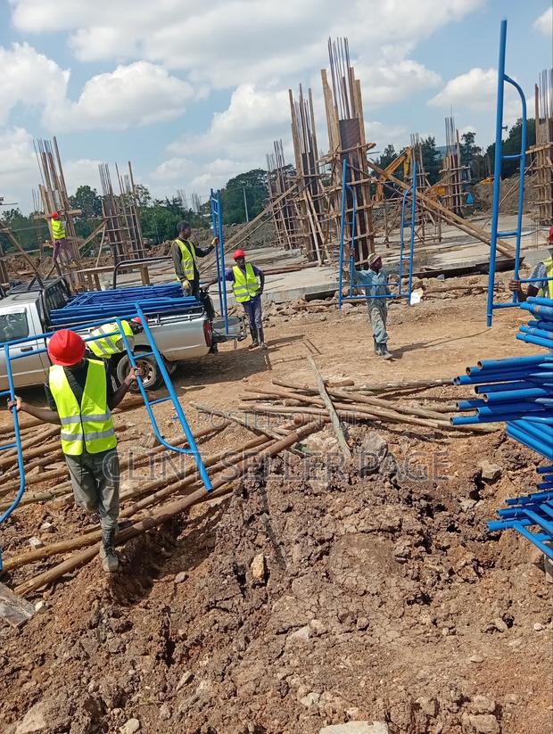 Blue Builders' Scaffold Ladders - main view